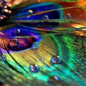 Meet your Posher, Jeffrey